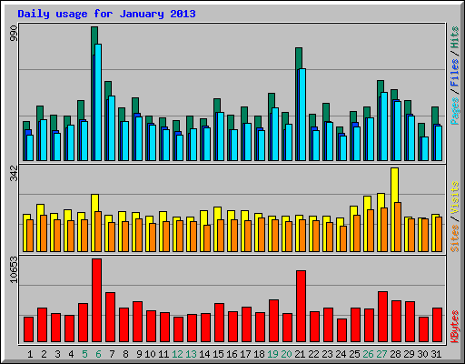Daily usage for January 2013