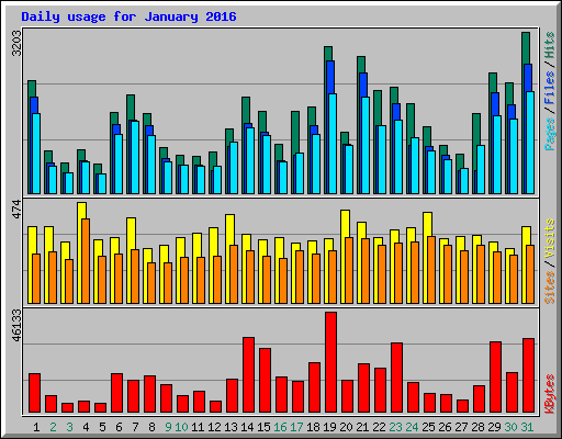 Daily usage for January 2016