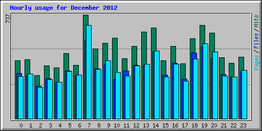 Hourly usage for December 2012