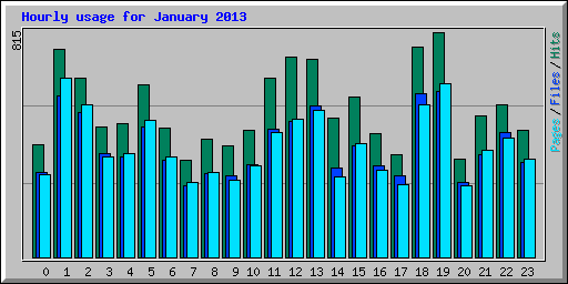 Hourly usage for January 2013