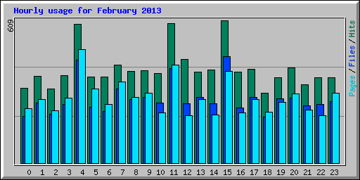 Hourly usage for February 2013