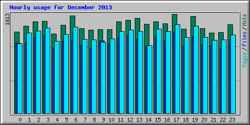 Hourly usage for December 2013