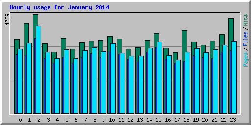 Hourly usage for January 2014