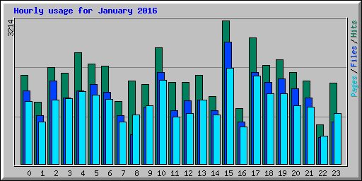 Hourly usage for January 2016