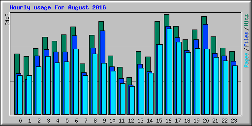 Hourly usage for August 2016