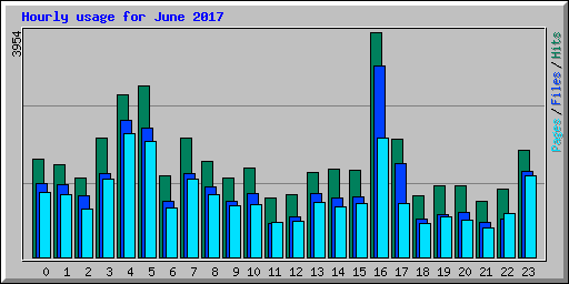 Hourly usage for June 2017