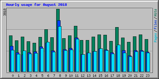 Hourly usage for August 2018