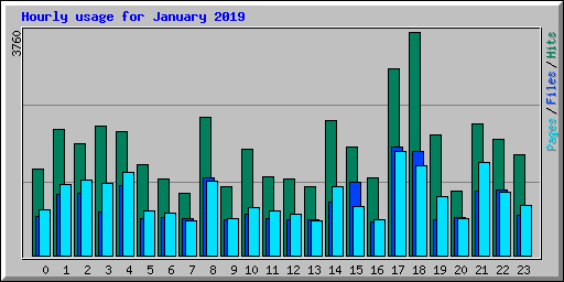 Hourly usage for January 2019