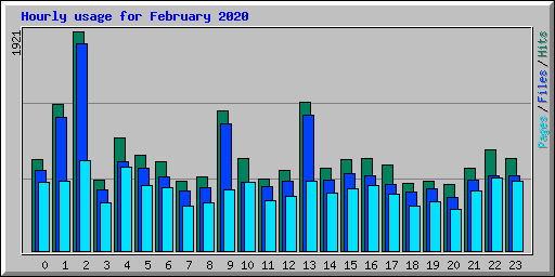 Hourly usage for February 2020